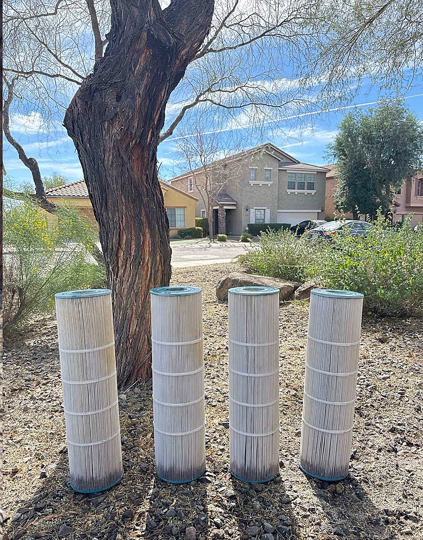 After: four filter cartridges cleaned back to bright white
