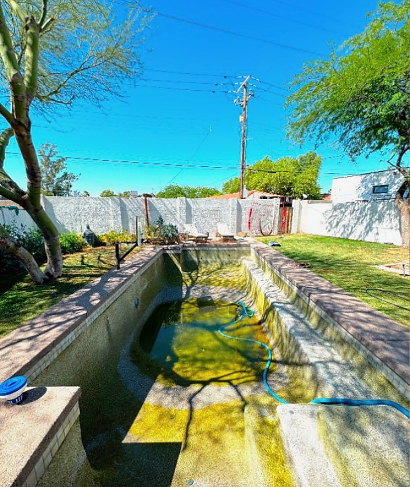 Before: a neglected backyard pool with algae-green water
